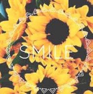 Meet your Posher, Julie diana